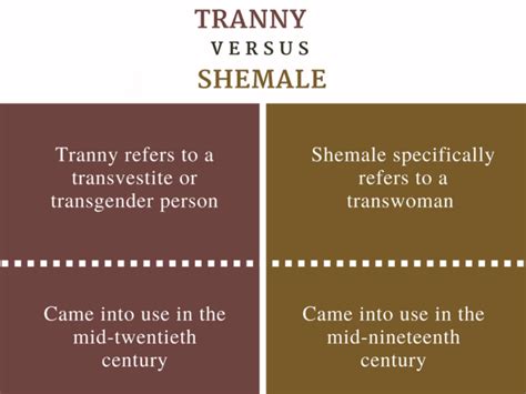 tranny vs shemale|Transgender vs Transsexual